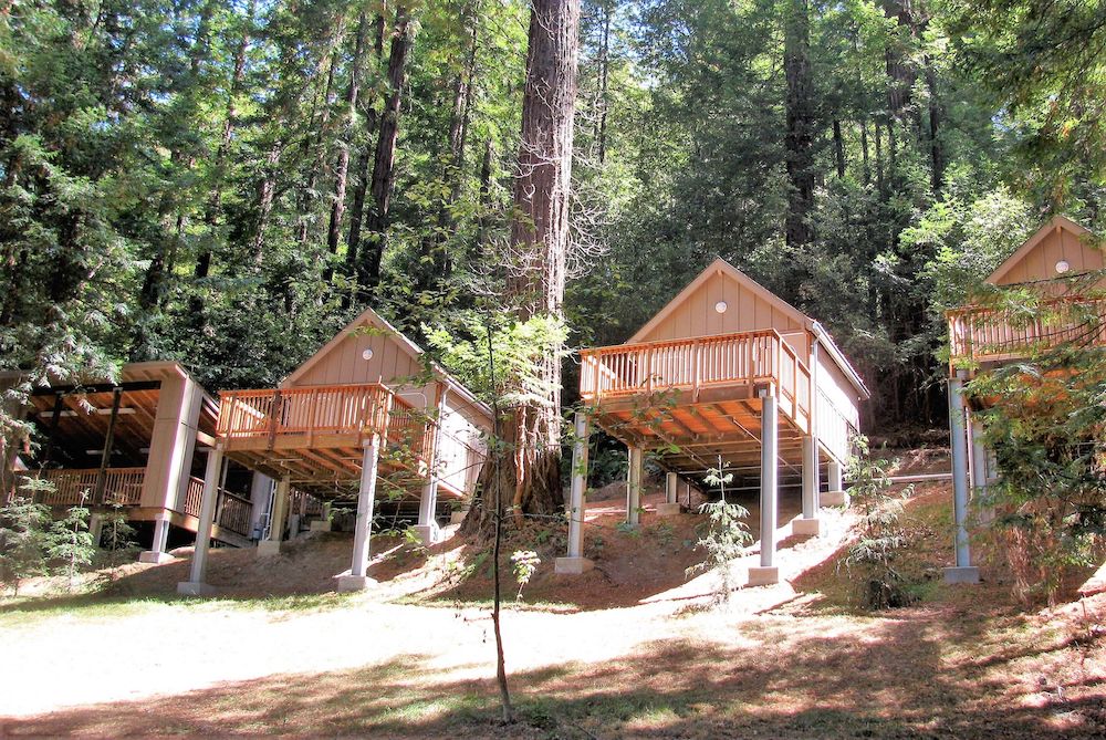 Butano Creek Treehouses