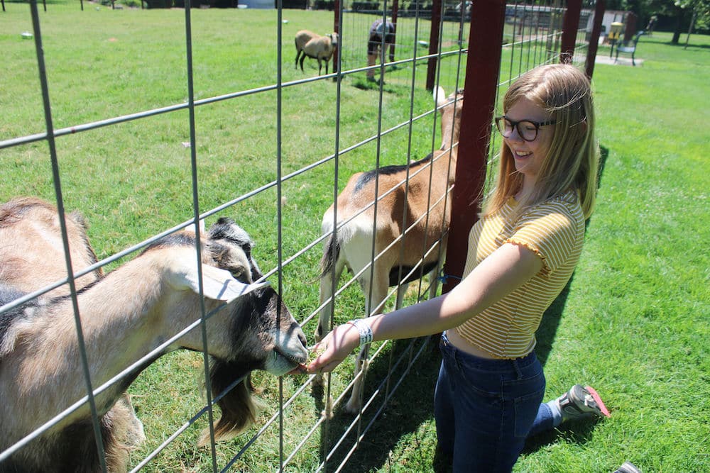 Camper feeding a goat