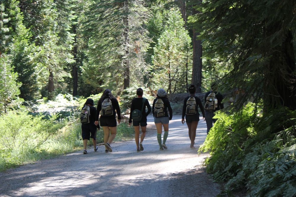 Group of campers walking down path in woods