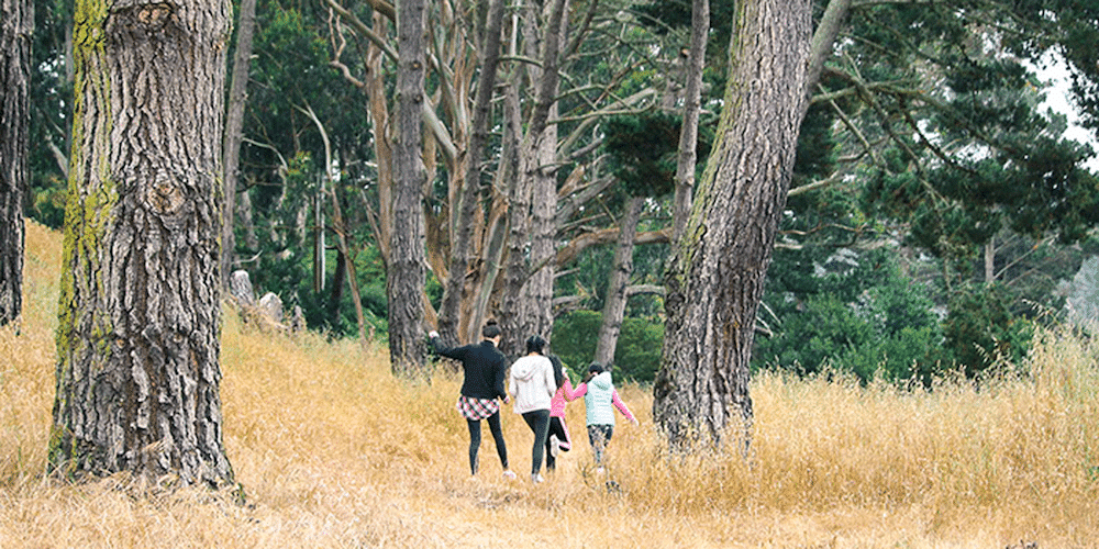 Girls walking in woods with huge trees